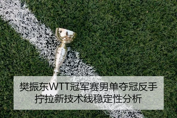 樊振东WTT冠军赛男单夺冠反手拧拉新技术线稳定性分析
